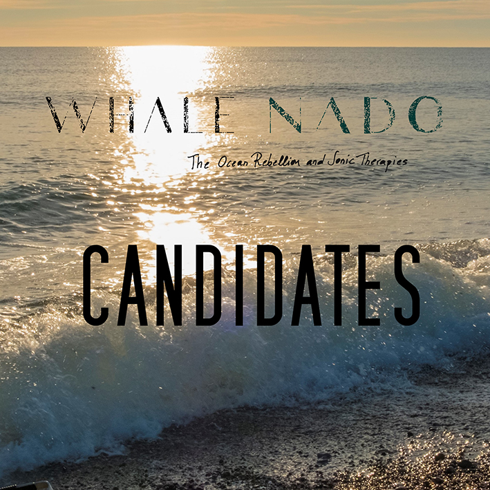 candidates whale nado